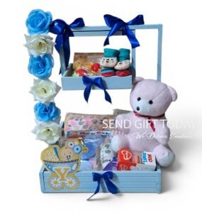 newborn baby boy arrival gift set