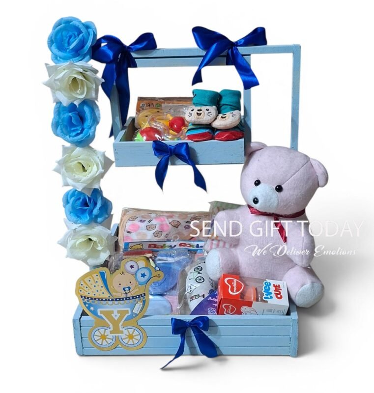 newborn baby boy arrival gift set