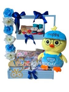 Newborn Baby Boy Cuddle & Care Hamper
