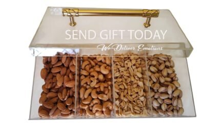 premium acrylic dry fruit box 1