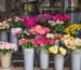How to Take Care of Fresh Flowers Practical Tips to Keep Them Blooming Longer