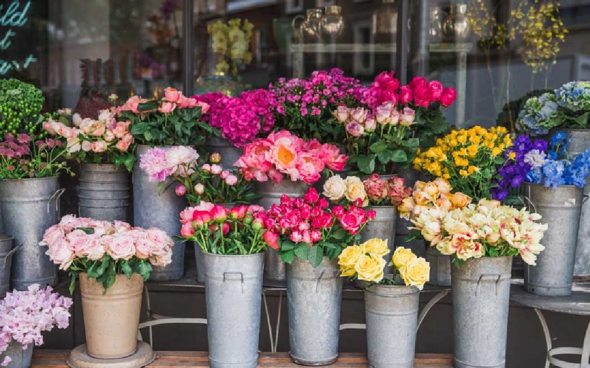 How to Take Care of Fresh Flowers Practical Tips to Keep Them Blooming Longer